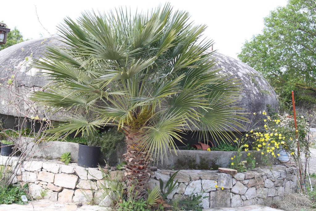 Villa La Scaletta Alghero Quarto foto